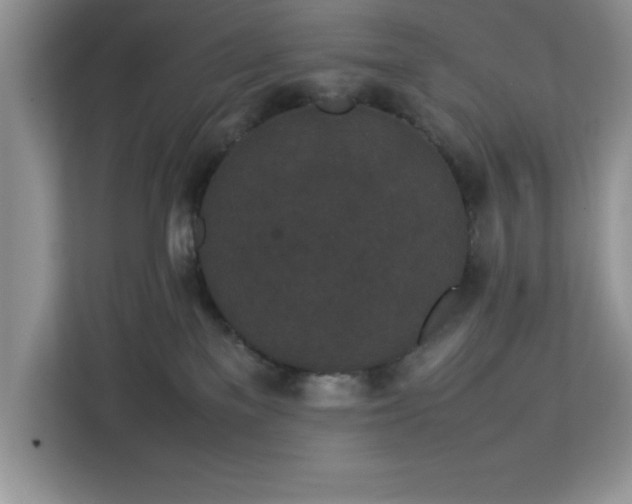 X0000113070137200908281202