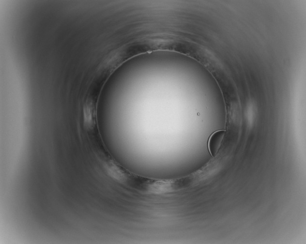 X0000113070138200908281202