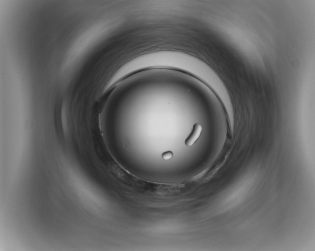 X0000113070140200908281202