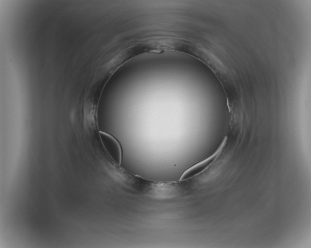 X0000113070141200908281202