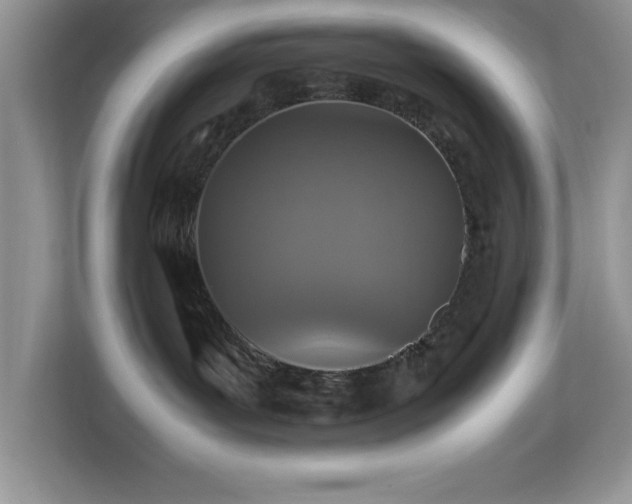 X0000113070143200908281202