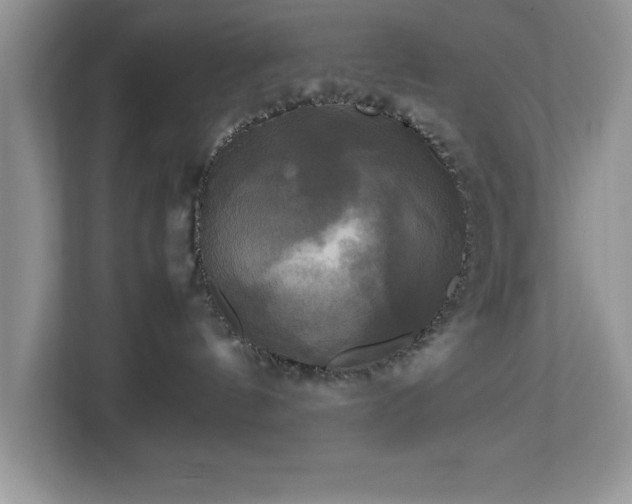 X0000113070144200908281202