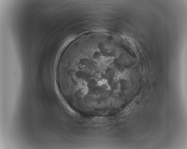 X0000113070145200908281201