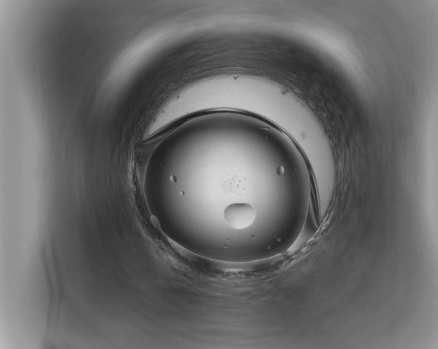 X0000113070146200908281201