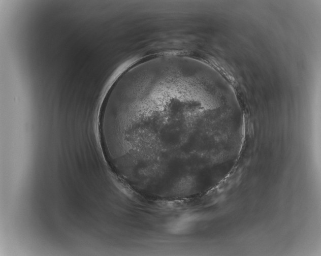 X0000113070147200908281201