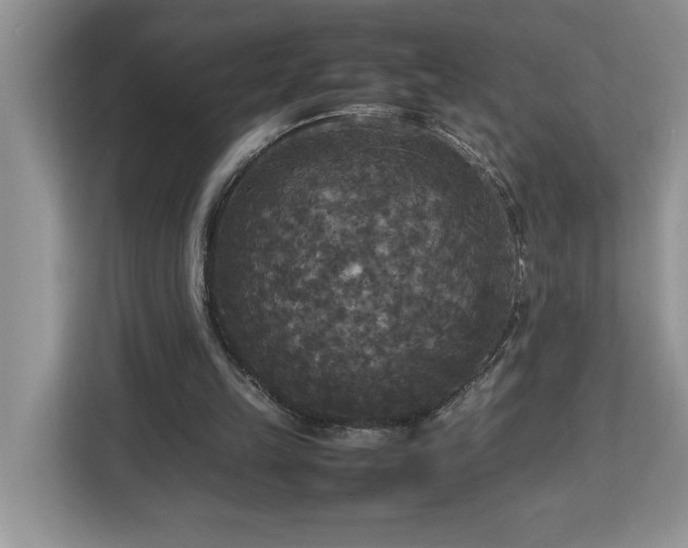 X0000113070149200908281201