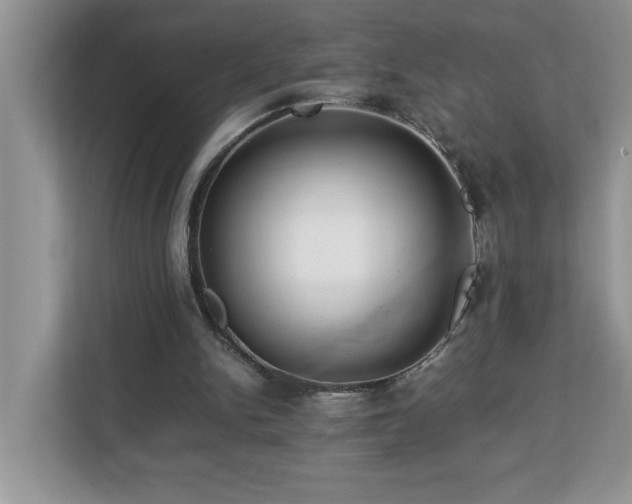 X0000113070150200908281201