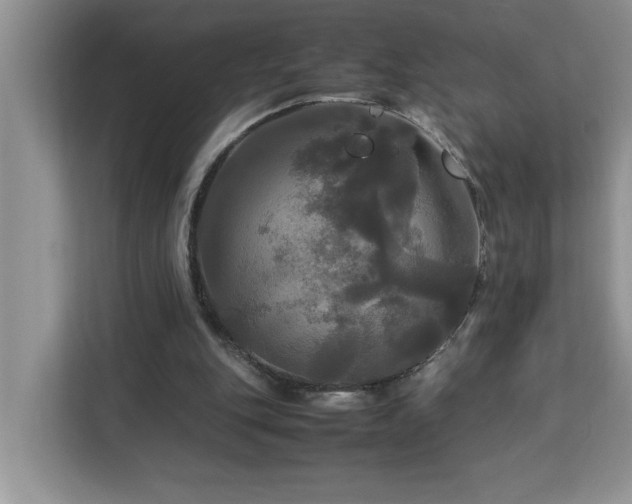 X0000113070151200908281201