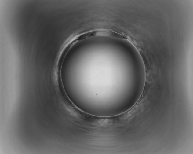 X0000113070152200908281201