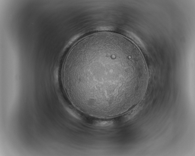 X0000113070155200908281201