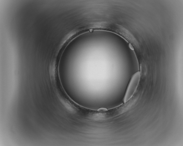 X0000113070156200908281201