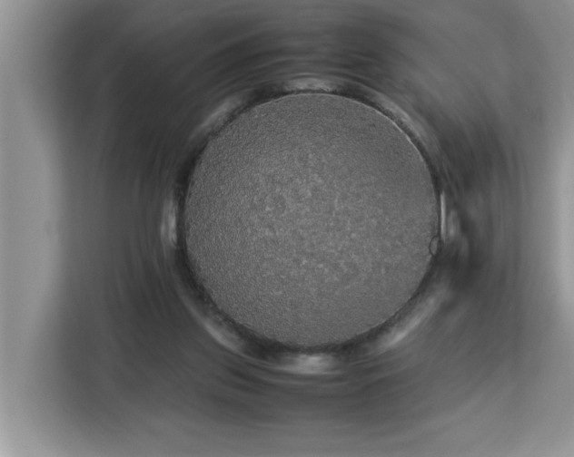 X0000113070157200908281201