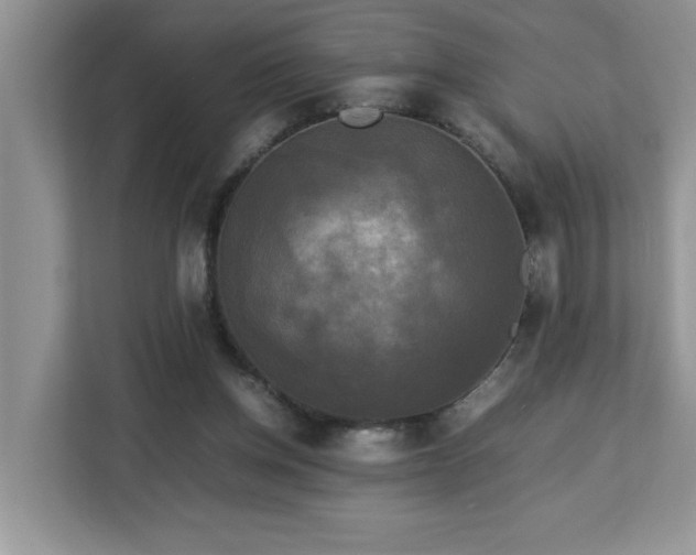 X0000113070158200908281201