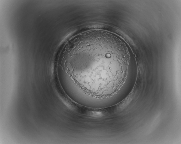 X0000113070159200908281201