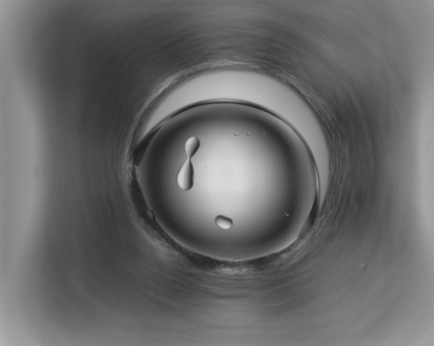 X0000113070160200908281201