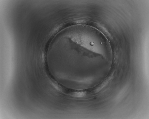 X0000113070161200908281201