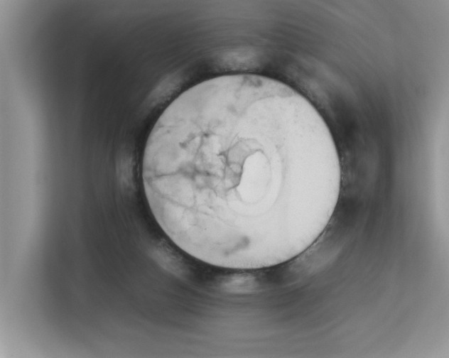 X0000113070162200908281201