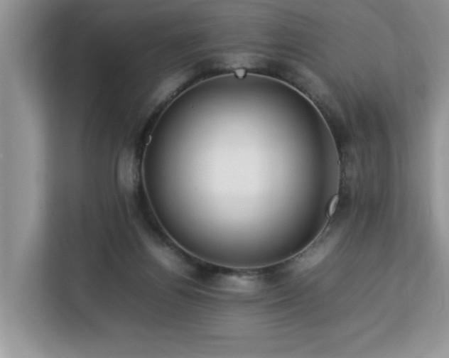 X0000113070164200908281201