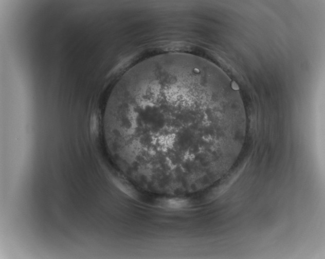 X0000113070165200908281201