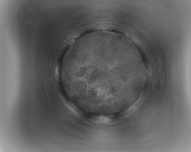 X0000113070166200908281201