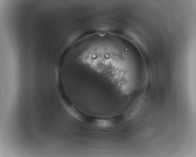 X0000113070167200908281201