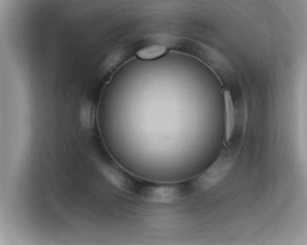 X0000113070168200908281201