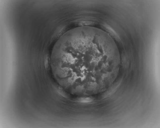 X0000113070169200908281201