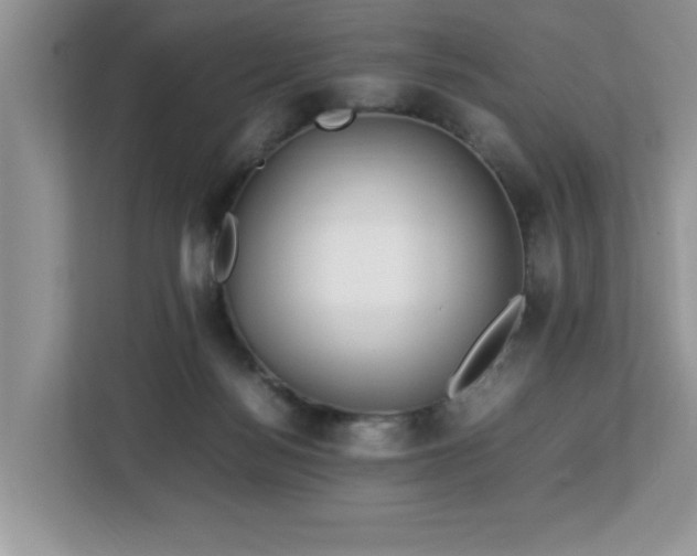 X0000113070172200908281201