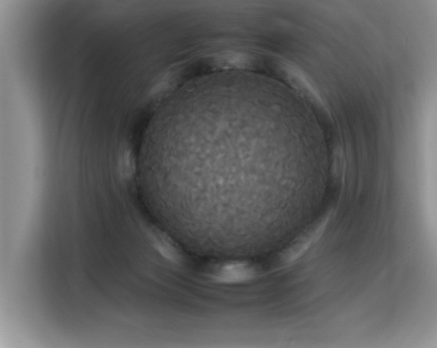 X0000113070173200908281201