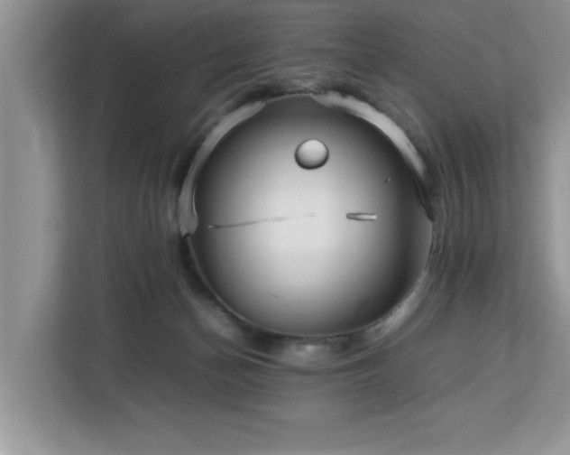 X0000113070174200908281201