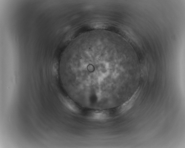 X0000113070175200908281201