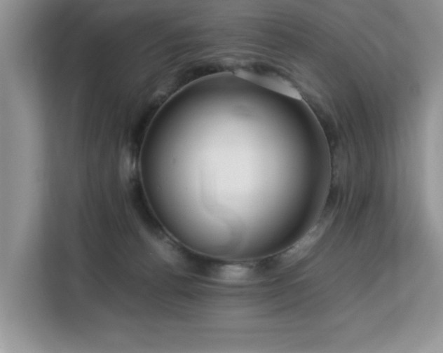 X0000113070176200908281201