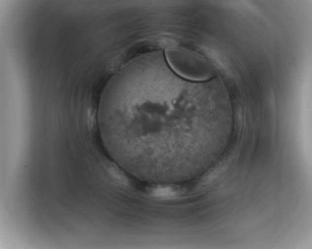 X0000113070177200908281202