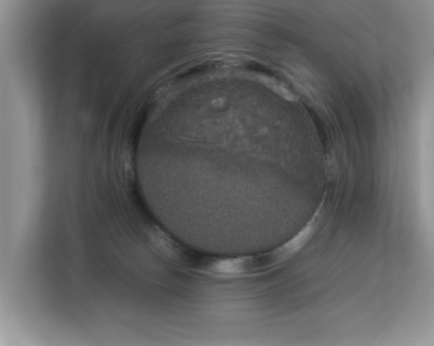 X0000113070178200908281202