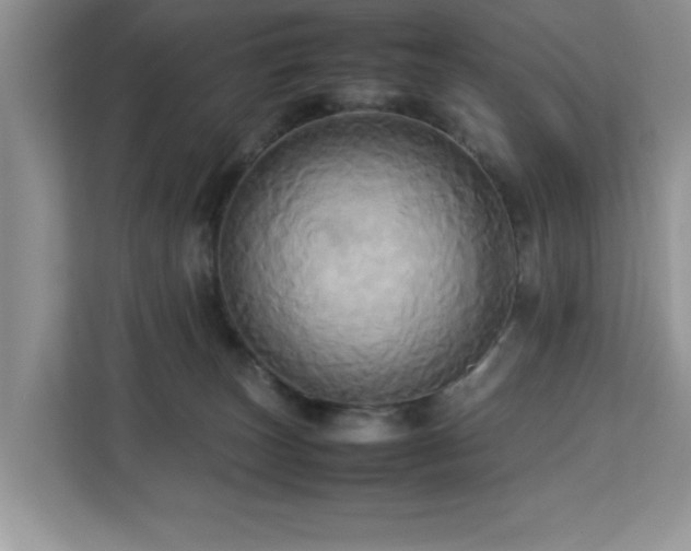 X0000113070179200908281202