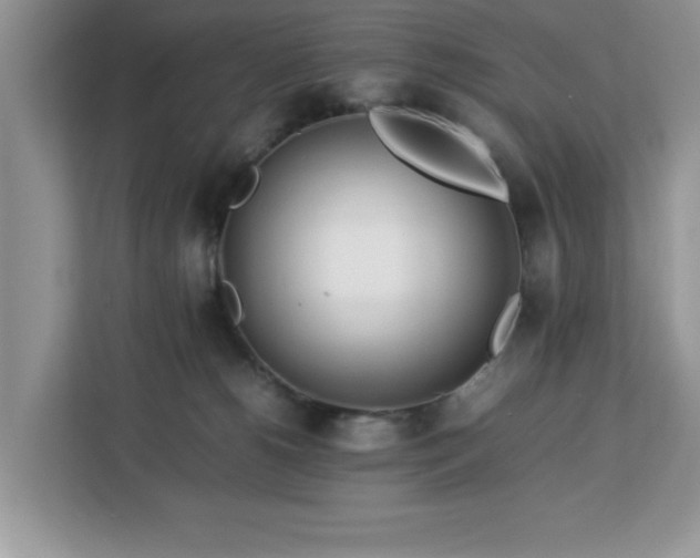 X0000113070180200908281202