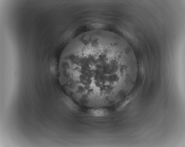 X0000113070181200908281202