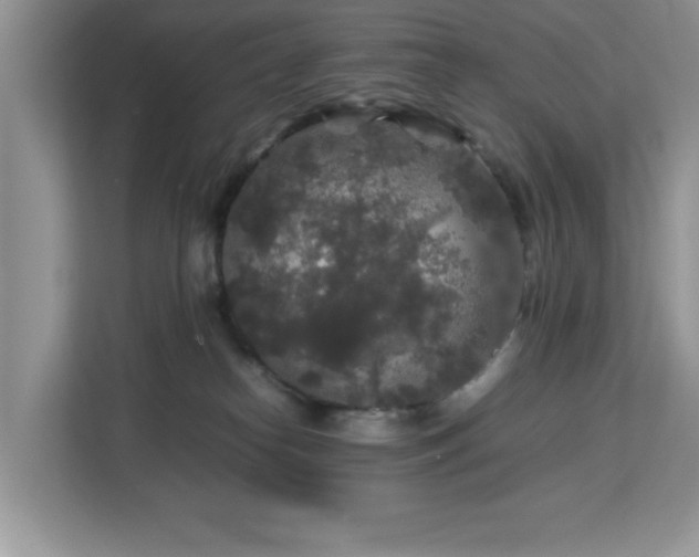 X0000113070182200908281202