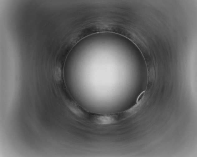 X0000113070183200908281202