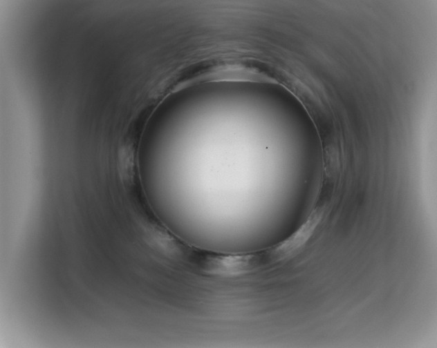 X0000113070184200908281202