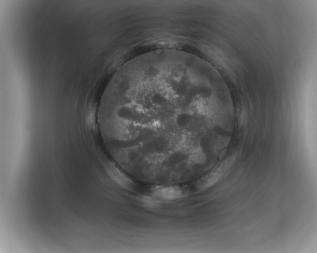 X0000113070185200908281202