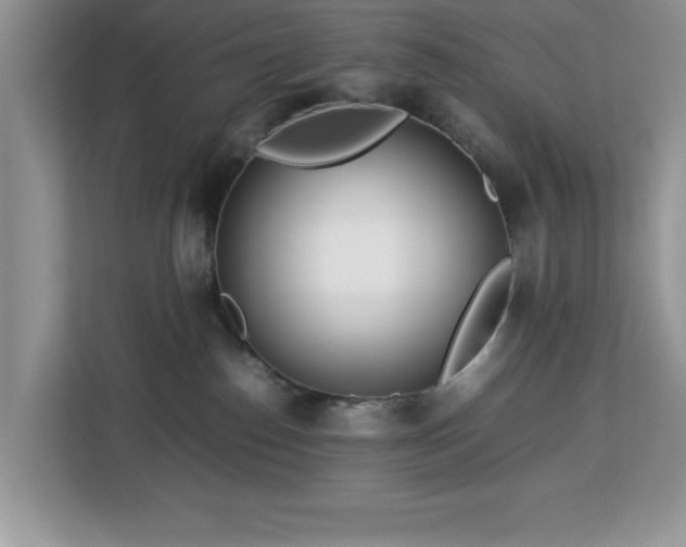 X0000113070186200908281202