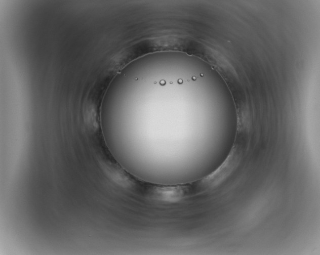 X0000113070187200908281202