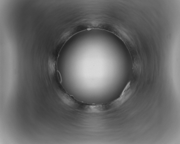 X0000113070188200908281202