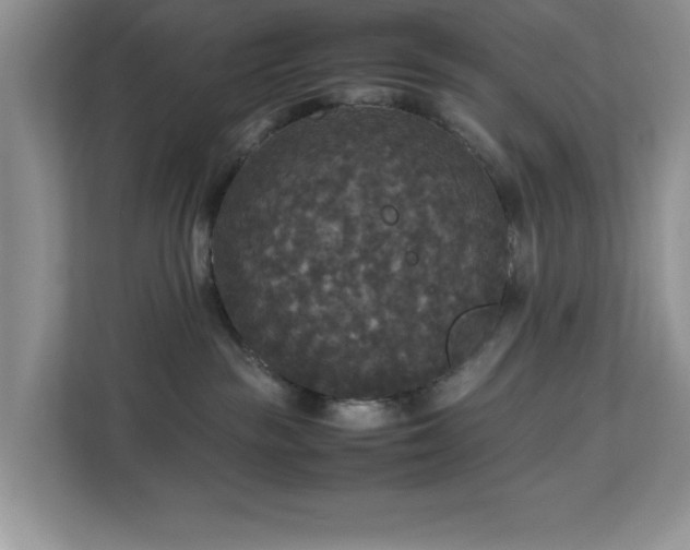 X0000113070189200908281202