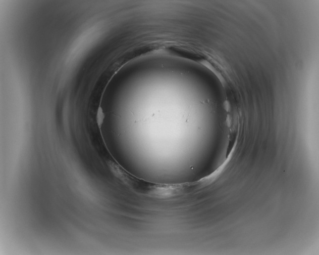 X0000113070190200908281202