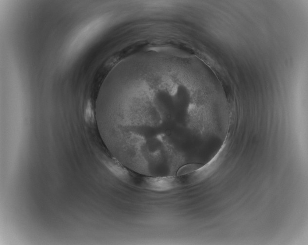 X0000113070191200908281202