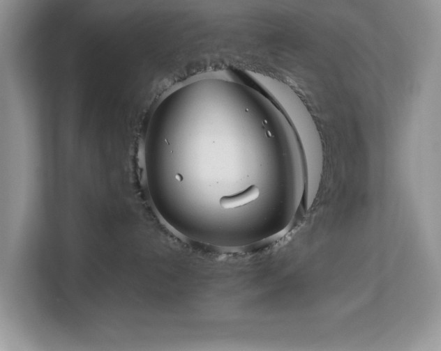 X0000113070192200908281202