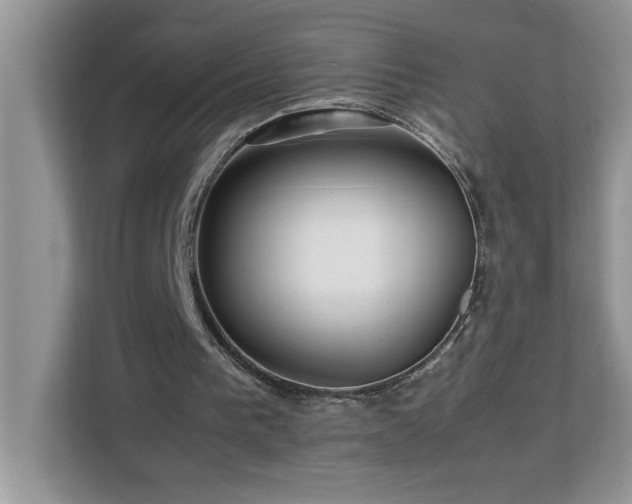 X0000113070193200908281201