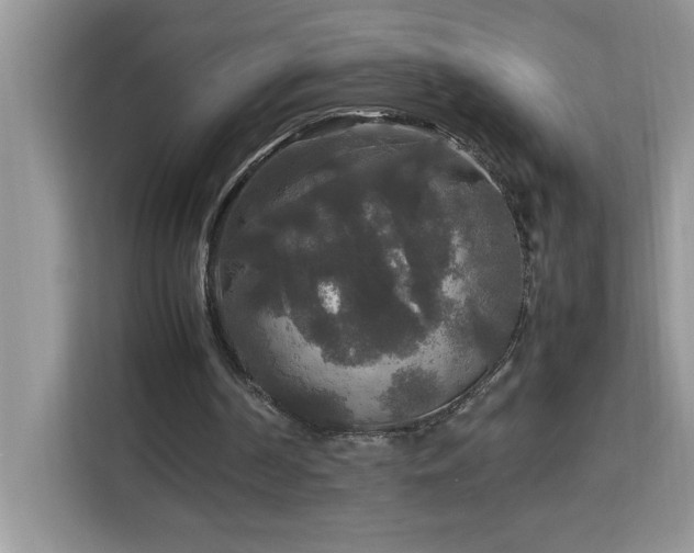 X0000113070194200908281201